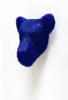 Visions West Gallery :: Bruce :: Drifter