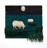 Visions West Gallery :: Bruce :: Stargrazers