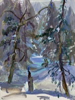 Visions West Gallery :: Bruce :: Winter Path