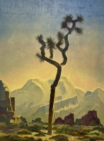 Visions West Gallery :: Bruce :: Joshua Tree & Ryan Mountain