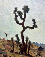 Visions West Gallery :: Bruce :: A Family of Joshua Trees