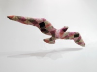 Visions West Gallery :: Bruce :: Dazzler