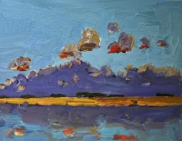 Visions West Gallery :: Bruce :: Dark Cloud Reflection 