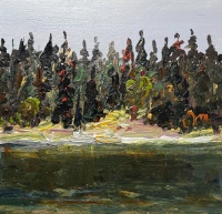 Visions West Gallery :: Bruce :: Shoreline, Dark Water