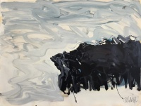 Visions West Gallery :: Bruce :: A. Dr. #16