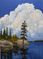 Visions West Gallery :: Bruce :: Tree at the Point