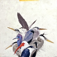 Visions West Gallery :: Bruce :: Small Heron Cluster