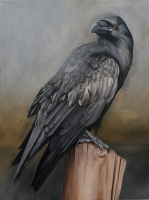 Visions West Gallery :: 1 local-wildlife Robin :: Lecturer