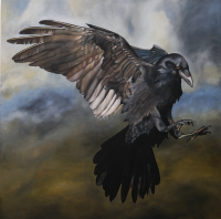 Visions West Gallery :: 1 local-wildlife Robin :: Missionary