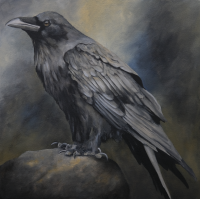 Visions West Gallery :: 1 local-wildlife Robin :: Soothsayer