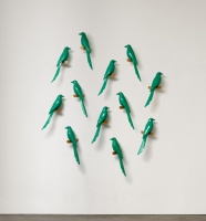 Visions West Gallery :: Bruce :: Eye to Eye