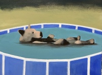 Visions West Gallery :: Bruce :: The Cool Bear