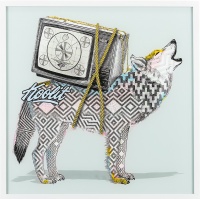 Visions West Gallery :: Bruce :: Chroma 