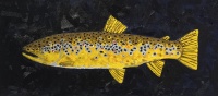 Visions West Gallery :: Bruce :: Horse Creek Brown Trout