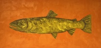 Visions West Gallery :: Bruce :: Sawtooth Cutthroat Trout