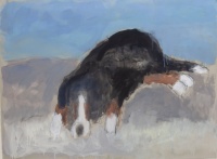 Visions West Gallery :: Bruce :: Cooper Dr. #2