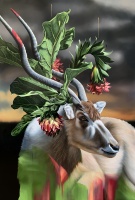 Visions West Gallery :: Bruce :: Immortality