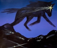 Visions West Gallery :: Bruce :: Wild Star