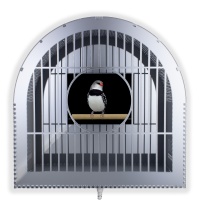 Visions West Gallery :: Bruce :: Homie (Chrome) 