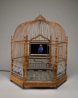 Visions West Gallery :: Bruce :: Olga