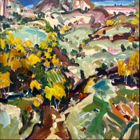 Visions West Gallery :: Bruce :: Foothills