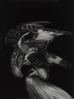 Visions West Gallery :: Bruce :: Perched (after Audubon)