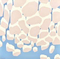 Visions West Gallery :: Bruce :: Cloud Puzzle