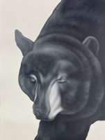 Visions West Gallery :: Bruce :: Big Bear