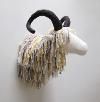 Visions West Gallery :: Bruce :: Aries