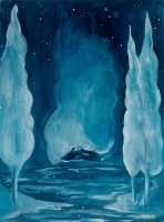 Visions West Gallery :: Bruce :: Oh guiding night