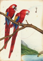 Visions West Gallery :: Bruce :: Unexpected Surprise