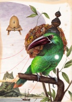 Visions West Gallery :: Bruce :: Inside the Heart