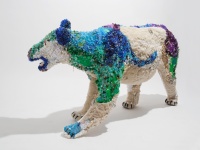 Visions West Gallery :: Bruce :: New Polar