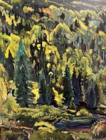 Visions West Gallery :: Bruce :: Mama Bear and Cub Along a Quite Autumn Stream