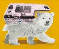 Visions West Gallery :: Bruce :: Boba