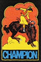 Visions West Gallery :: Bruce :: Electric Castles