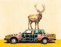 Visions West Gallery :: Bruce :: Lunch Lady