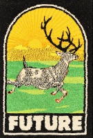 Visions West Gallery :: Bruce :: Special Projects