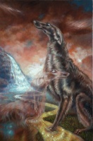 Visions West Gallery :: Bruce :: How Am I Supposed To Know