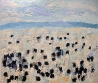 Visions West Gallery :: Bruce :: Rapelje Angus #8