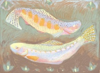 Visions West Gallery :: Bruce :: Mind and Not Mind