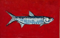Visions West Gallery :: Bruce :: Mangrove Tarpon
