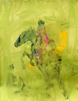 Visions West Gallery :: Bruce :: Yellow Tail