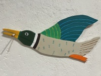 Visions West Gallery :: Bruce :: Blue Duck