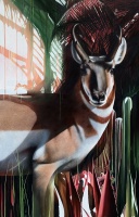 Visions West Gallery :: Bruce :: Renewed Calls II