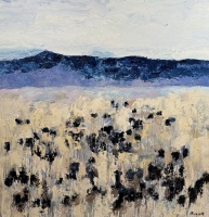 Visions West Gallery :: Bruce :: White Sulphur Angus #2