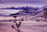 Visions West Gallery :: Bruce :: Livingston, MY with Milk Thistles