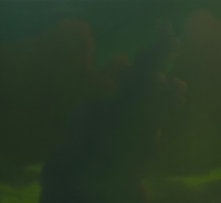 Visions West Gallery :: Bruce :: Dream Geyser (Dusk)