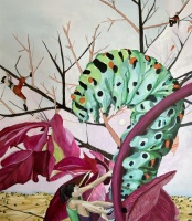 Visions West Gallery :: Bruce :: What Size Would You Like to Be?