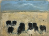 Visions West Gallery :: Bruce :: Lima Angus Dr. #9